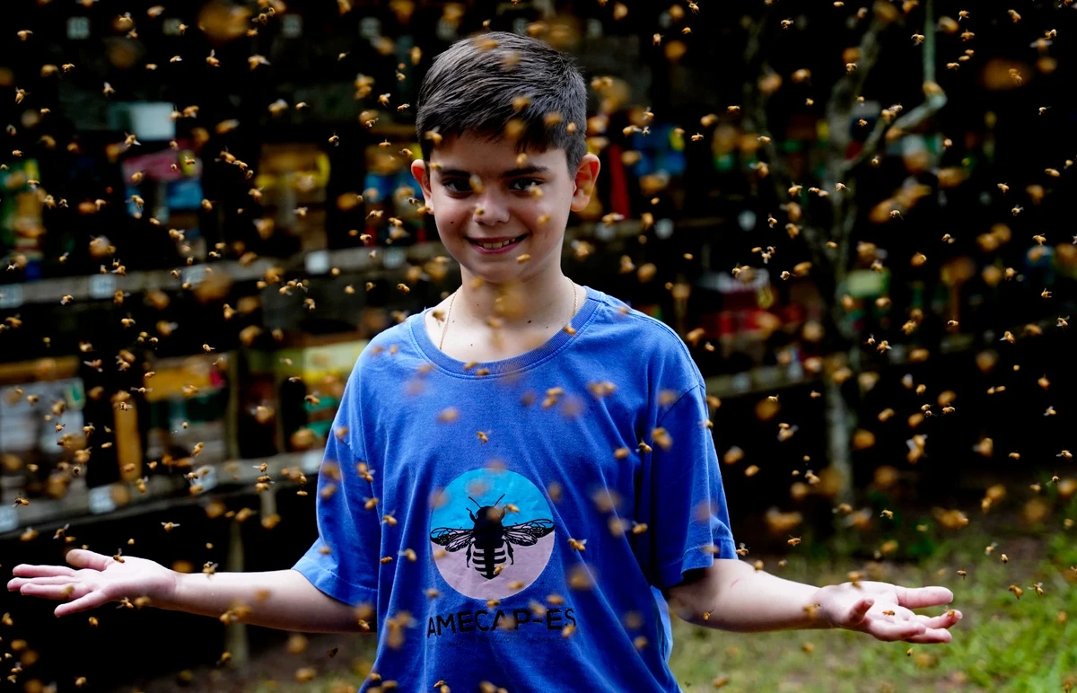 Criança autista encontra nas abelhas o caminho para a socialização