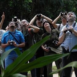 Resultados iniciais de um estudo inédito global mostram que a interação social e o contato com a natureza são poderosas ferramentas no combate à solidão