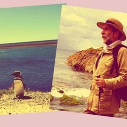 A história de Tom Michell e o pinguim Juan Salvador foi contada em um livro traduzido para mais de 24 idiomas que, recentemente, se tornou um filme