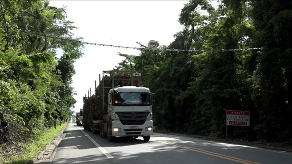 Passagens suspensas para animais silvestres são instaladas para reduzir atropelamentos na BR-101, no Norte do Espírito Santo
