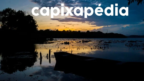 Cerca de 70% da lagoa, a segunda maior lagoa do Espírito Santo, fica em Anchieta, e o restante em Guarapari; confira a história