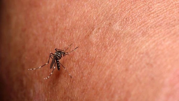 Cidade já contabiliza 165 casos confirmados neste ano, conforme dados computados até último sábado (3), com grande aumento nas últimas semanas