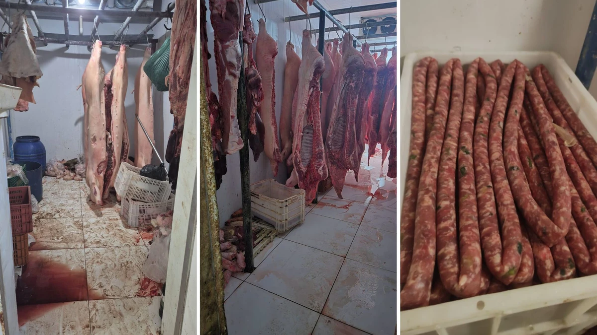 A ação interditou um abatedouro clandestino no bairro Aribiri e apreendeu aproximadamente quatro toneladas de carnes suínas e linguiças