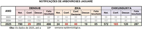 Chikungunya: Jaguaré decreta situação de emergência após aumento de casos