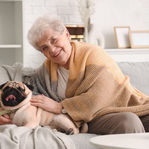 Imagem - 7 raças de cachorro ideais para idosos