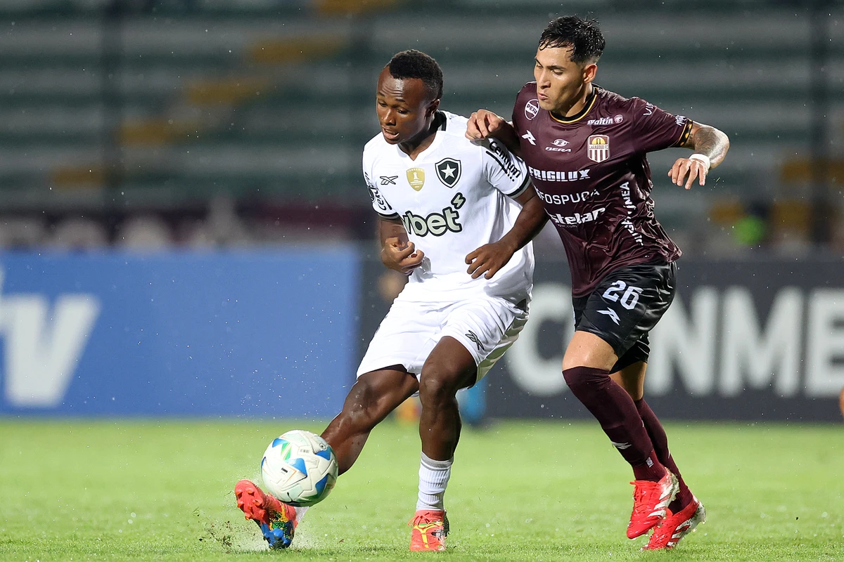 Botafogo precisa vencer os dois próximos jogos 