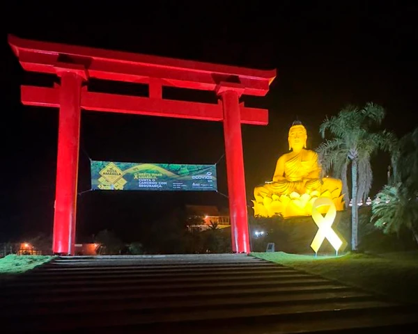 Buda de Ibiraçu Maio Amarelo