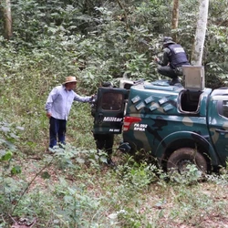 Animal foi flagrado andando pelo Centro da cidade na última sexta-feira (2) e mobilizou equipes para sua captura, que aconteceu no mesmo dia