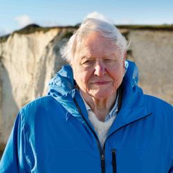 O apresentador e naturalista britânico diz que seu novo filme é um dos mais importantes da sua carreira.