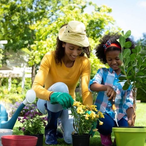 Imagem - Veja hortaliças e flores ideais para cultivar em maio