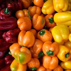 Veja como esse vegetal pode favorecer o bom funcionamento do organismo