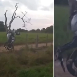 Piloto teria perdido controle de moto próximo a uma curva, saiu da pista, e bateu em uma cerca, no domingo (11)