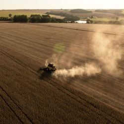 Engenheira agrônoma associada à Embrapa foi uma das primeiras proponentes da fixação biológica de nitrogênio como alternativa aos fertilizantes químicos.