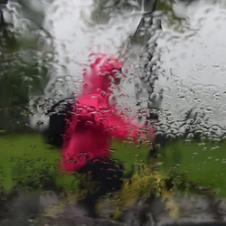 Alguns locais acumularam mais de 50 mm em 4 dias, sendo que a média de precipitação para todo o mês de julho, na maioria das áreas do Espírito Santo, varia de 20 mm a 60 mm