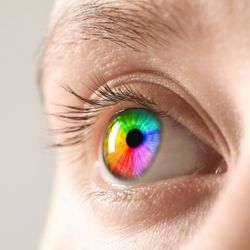A percepção envolve a interação entre luz, olhos e cérebro