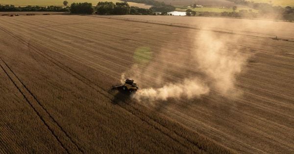 Engenheira agrônoma associada à Embrapa foi uma das primeiras proponentes da fixação biológica de nitrogênio como alternativa aos fertilizantes químicos.