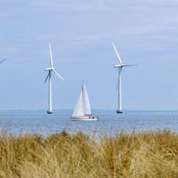 A multiplicação dos parques eólicos offshore faz com que eles fiquem cada vez mais próximos entre si e o 'efeito esteira' resultante pode causar redução da produção de energia. É preciso criar rapidamente regulamentações para evitar possíveis desentendimentos entre usinas e até países.