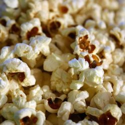 Número crescente de produtos lançados no mercado alegam ser fonte de proteína ou ter alto teor proteico