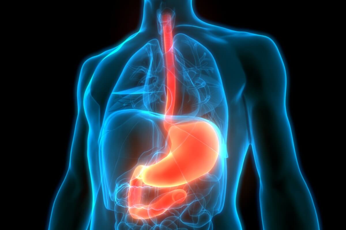 O câncer de esôfago evolui rapidamente e de forma silenciosa (Imagem: Magic mine | Shutterstock) 