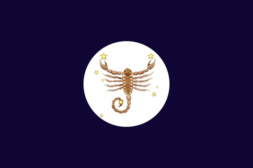 Será um bom dia para os nativos de Escorpião investirem em seus talentos e colherem os frutos de esforços anteriores (Imagem: juliawhite | Shutterstock)