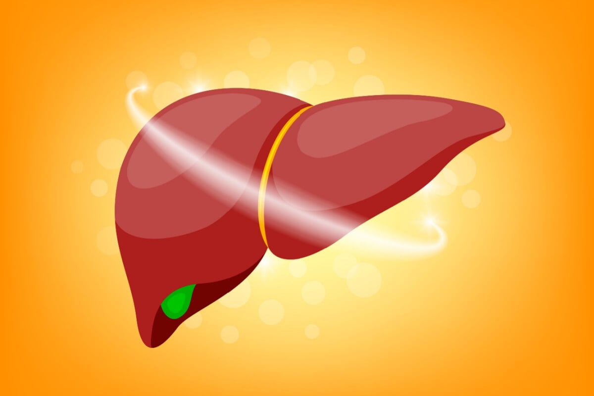 A gordura no fígado é uma condição delicada, mas reversível (Imagem: wowowG | Shutterstock)