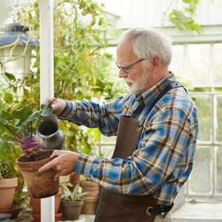 Pesquisas mostram que a jardinagem preserva a função cognitiva, ajudando você a viver bem por mais tempo. Agora, pacientes com demência estão colhendo os benefícios em 'fazendas de repouso'.