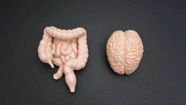 É muito positivo saber que podemos contar com esses recursos como aliados. Eles nos lembram de algo que sempre repito no consultório: cuidar da mente é também cuidar do corpo