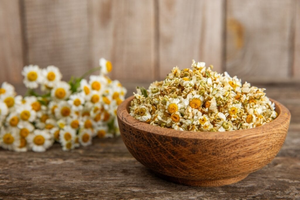 Banho com camomila ajuda a aliviar o estresse (Imagem: Avocado_studio | Shutterstock)