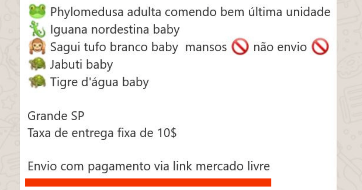 Imagem BBC Brasil