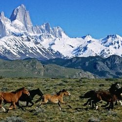 Os últimos acontecimentos e medidas tomadas pelo governo Donald Trump vêm fazendo muitas pessoas deixarem de viajar para os Estados Unidos. A BBC destacou cinco lugares em vários países com atrações similares às americanas para os turistas.