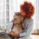 Imagem - 5 cuidados para quem tem ou pretende adotar um gato