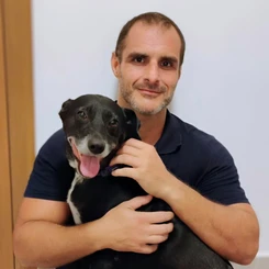 "Pesquisas sugerem que o temperamento e a socialização do animal são fatores determinantes para a convivência segura com crianças"