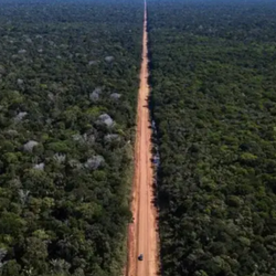 Com nova lei, projetos com potencial poluidor médio não precisariam de estudos de impacto ambiental. Para seus defensores, isso desburocratiza investimentos, enquanto seus críticos alertam para riscos ao meio ambiente.normas para avaliar para o licenciamento ambiental no Brasil é criticado por ambientalistas e defendido por ruralistas