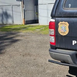 Mulher de 53 anos foi autuada em flagrante por furto qualificado, mas pagou fiança arbitrada na delegacia e vai responder ao processo em liberdade
