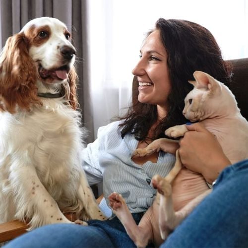 Imagem - 12 dicas para o seu animal ter uma vida saudável e feliz