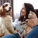 Veja cuidados fundamentais para garantir a saúde e o bem-estar dos pets