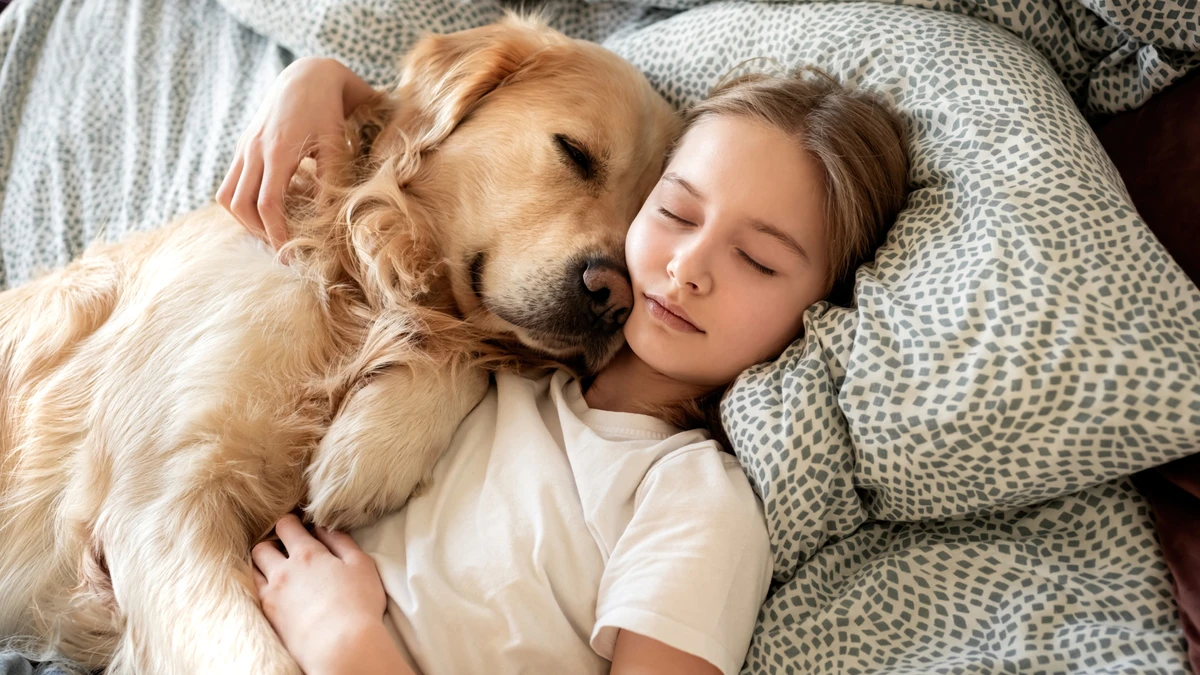Cachorro abraçado com uma criança / Golden Retriever