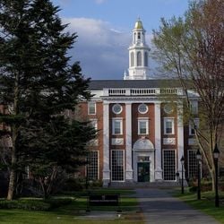 A secretária de Segurança Interna escreveu em rede social que Casa Branca revogou certificação da universidade para intercâmbios 'devido a falhas em cumprir a lei'.