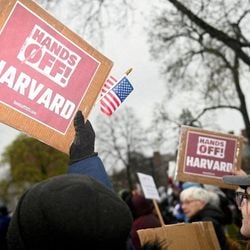 Governo Trump anunciou nesta quinta-feira (22/05) que revogou o direito de Harvard de matricular estudantes estrangeiros, dando 72 horas e uma lista de exigências para que a universidade pudesse ter a "oportunidade" de recuperar a permissão.