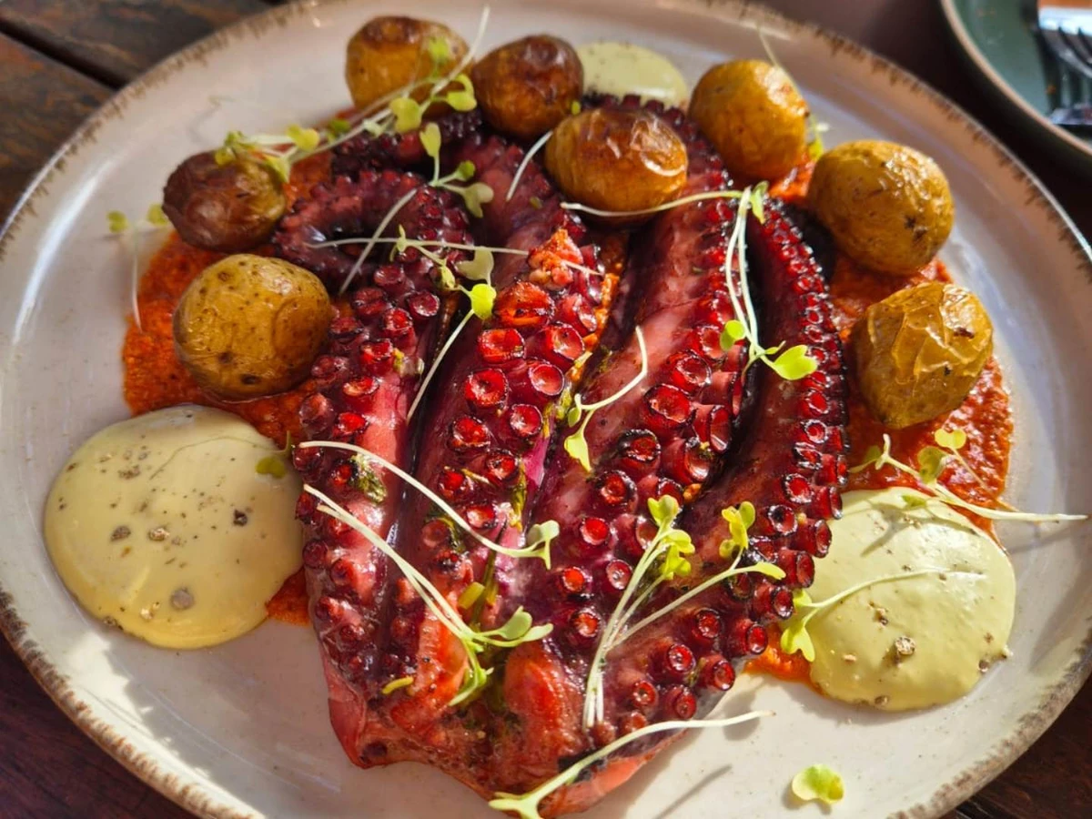 Polvo do restaurante Casa Benedita, em Buenos Aires, Guarapari