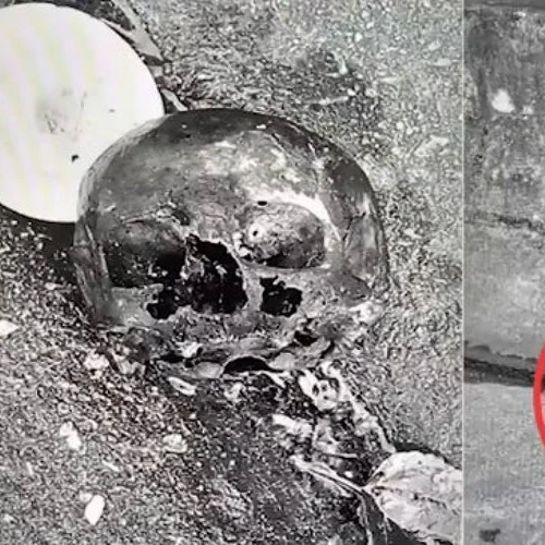 Imagem - Polícia investiga crânio encontrado em prato com velas e deixado na rua