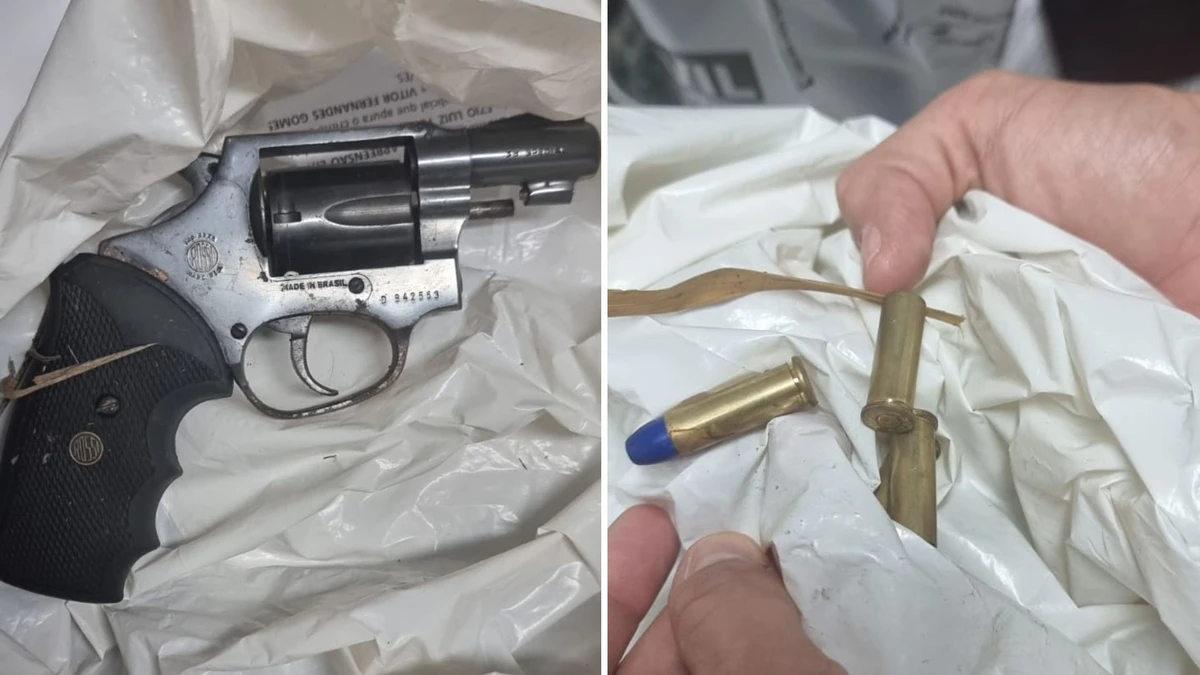Arma e muniçõs foram apreendidas em Atílio Vivácqua 