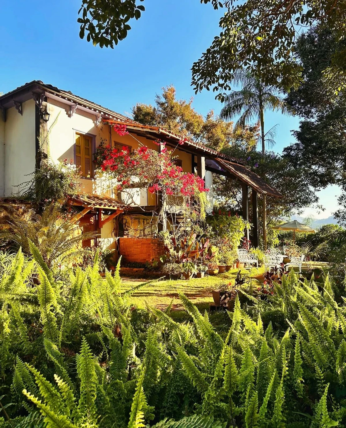 Casa é florida e cercada por vegetação nativa Foto por Instagram @villajanuaria