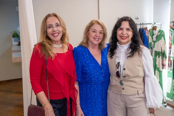 Julimara Nogueira Pereira, Cida Assbu e Christina Abelha