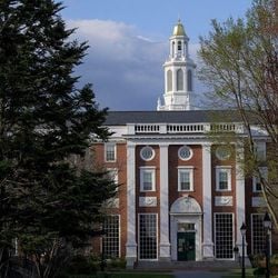 "Imagina, por exemplo, alunos que já estão na metade do curso. Vai expulsar o estudante? Ele tem que ir para outra universidade? Se tem bolsa em Harvard, ele vai ter bolsa [em outra universidade]?", questiona Hussein Kalout, que foi pesquisador da instituição entre 2013 e 2024.