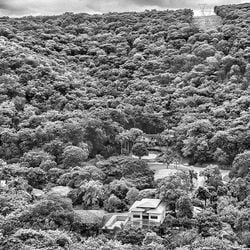 Com o apoio da mineradora, fotógrafo recuperou milhares de hectares degradados em Minas Gerais, mas foi alvo de críticas pela parceria e por posicionamento após o desastre de Mariana.
