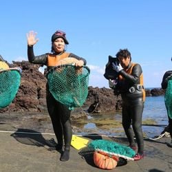 Ícones da ilha de Jeju, muitas dessas mulheres hoje têm mais de 60 anos e continuam em atividade, mergulhando mais de 15 metros só com a força dos pulmões.