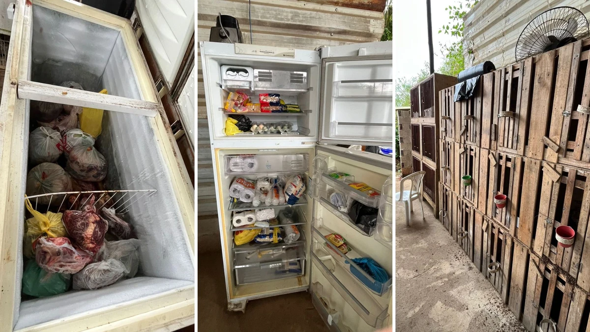 Polícia fecha local com 'ringues' para rinha de galo na Serra por Divulgação | Sesp