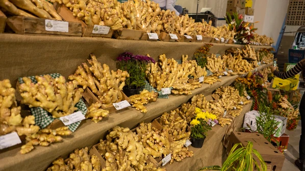 A 4ª edição da Expo Gengibre terá cachaça artesanal com gengibre, cocada da roça, pães, brigadeiros, além de uma extensa programação musical