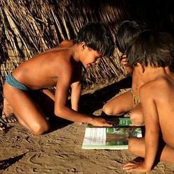 A pesquisadora Trudruá Dorrico analisa como mudanças em políticas públicas, a atuação de lideranças dos povos originários e a pandemia de covid-19 deram voz e destaque a novos autores indígenas — e ajudaram a criar um novo movimento literário no país.